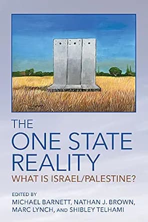 و دانلود نسخه کامل کتاب زبان اصلی The One State Reality: What Is Israel/Palestine? | دانلود کتاب خارجی