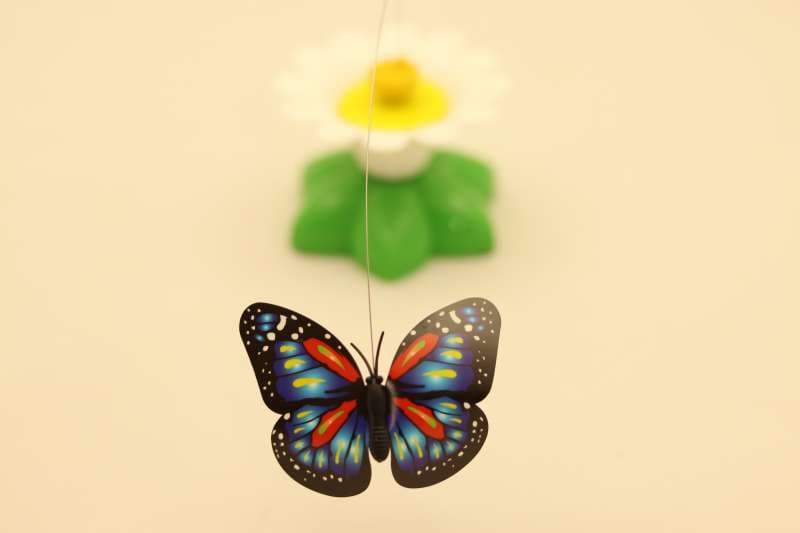 اسباب‌بازی گل و پروانه چرخان گربه — تصویر ۳