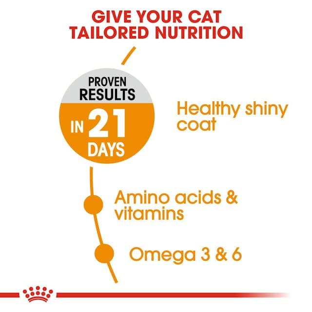 غذای خشک گربه هیر اند اسکین کر رویال کنین Hair & Skin Care وزن 2 کیلوگرم ROYAL CANIN — تصویر ۲