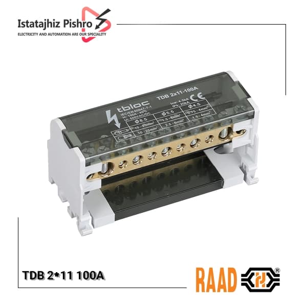 ترمینال توزیع رعد TDB‑2×11‑100A