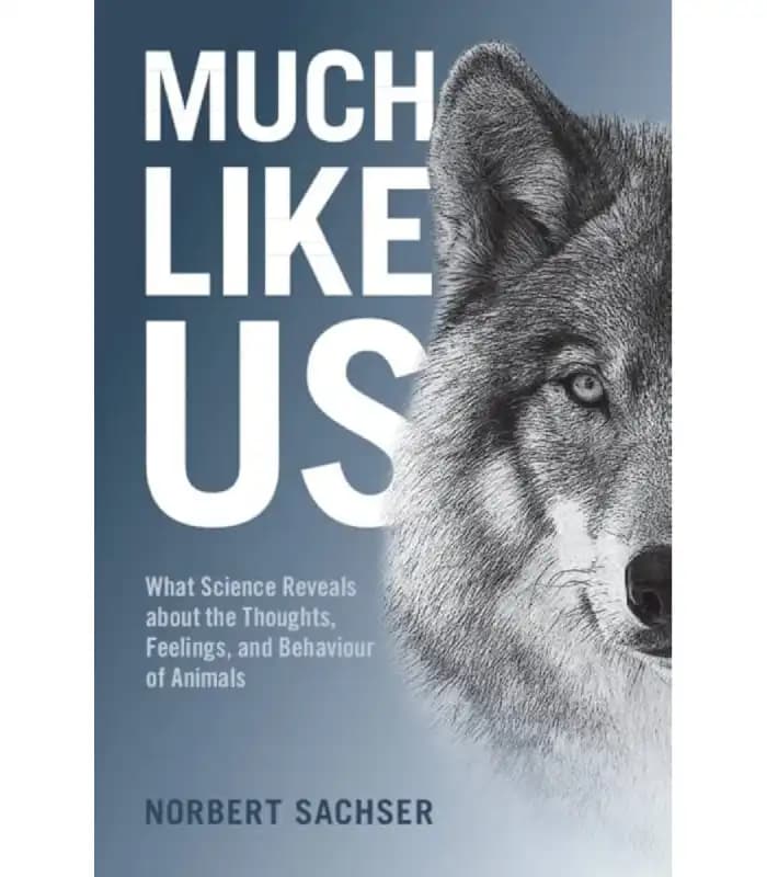 کتاب Much Like Us: What Science Reveals about the Thoughts, Feelings, and Behaviour of Animals (بسیار شبیه ما) اثر Norbert Sachser | نسخه انگلیسی PDF