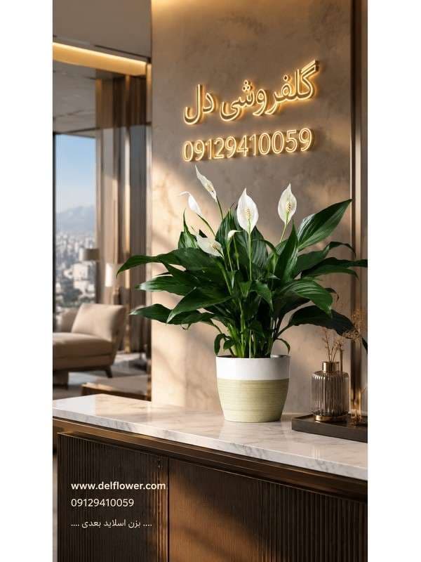 سفارش باکس گل 63AC80