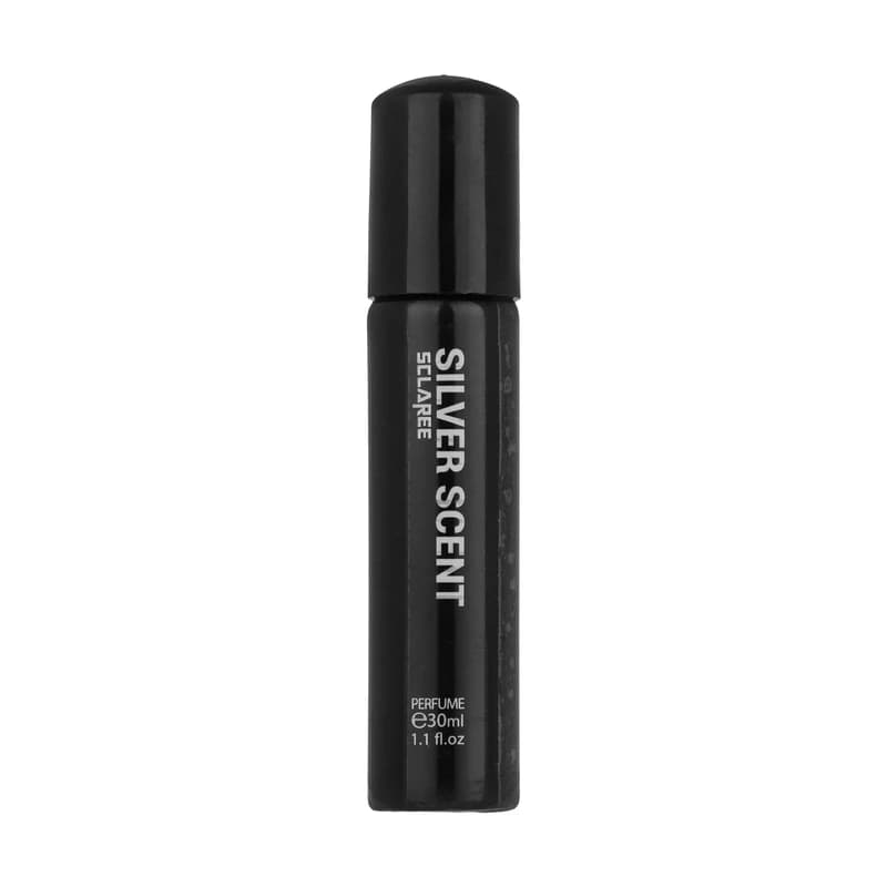 عطر جیبی مردانه نایس مدل Silver Scent حجم 30 میلی لیتر