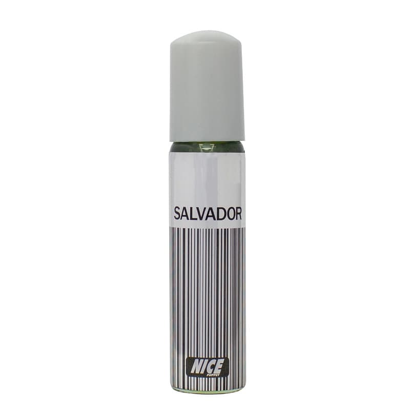 عطر جیبی مردانه نایس پاپت مدل SALVADOR حجم 30 میلی لیتر