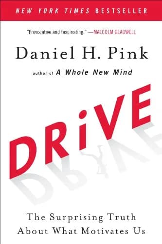 و دانلود نسخه کامل کتاب زبان اصلی Drive: The Surprising Truth About What Motivates Us Kindle Edition | دانلود کتاب خارجی