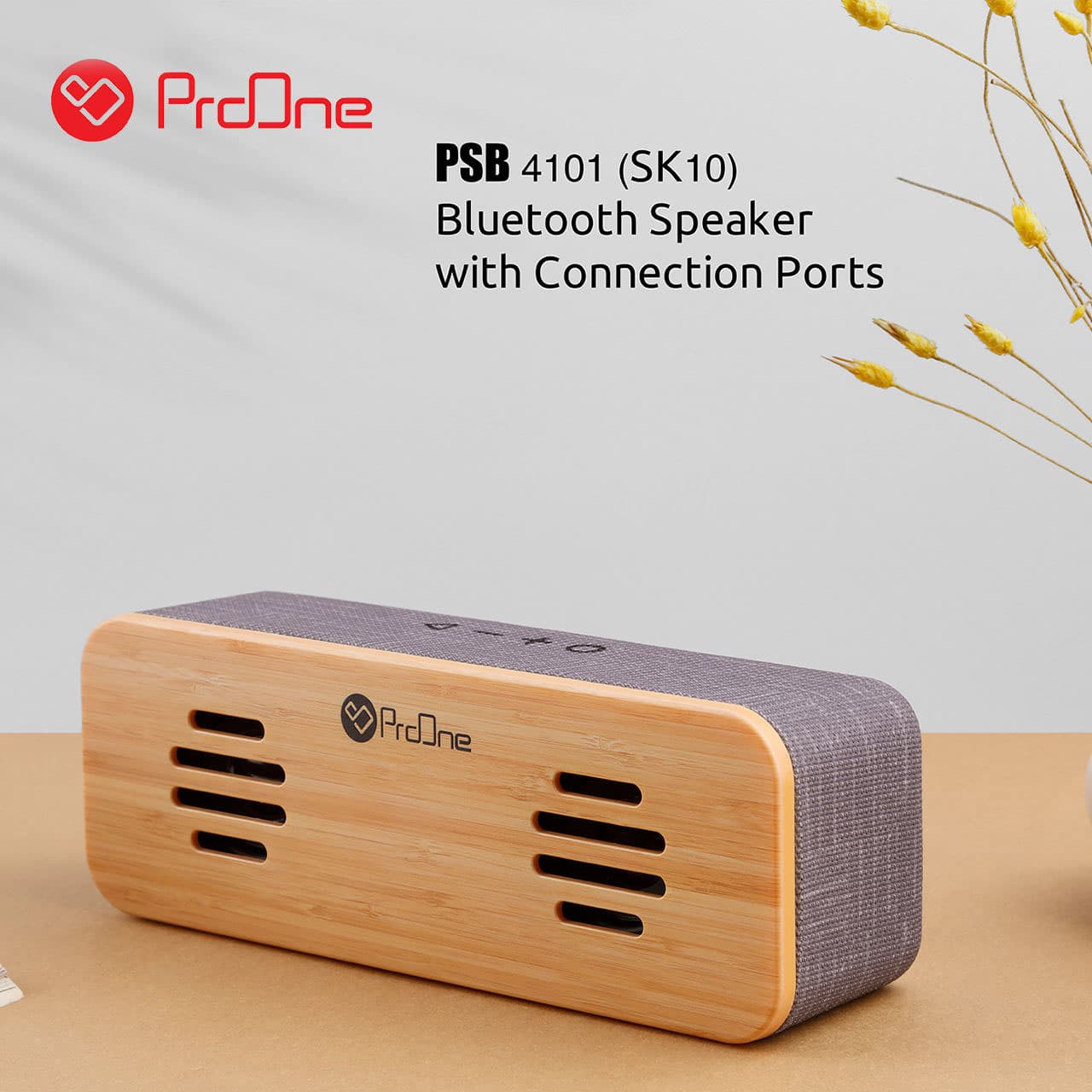 اسپیکر بلوتوث پرووان PSB4101 (SK10)