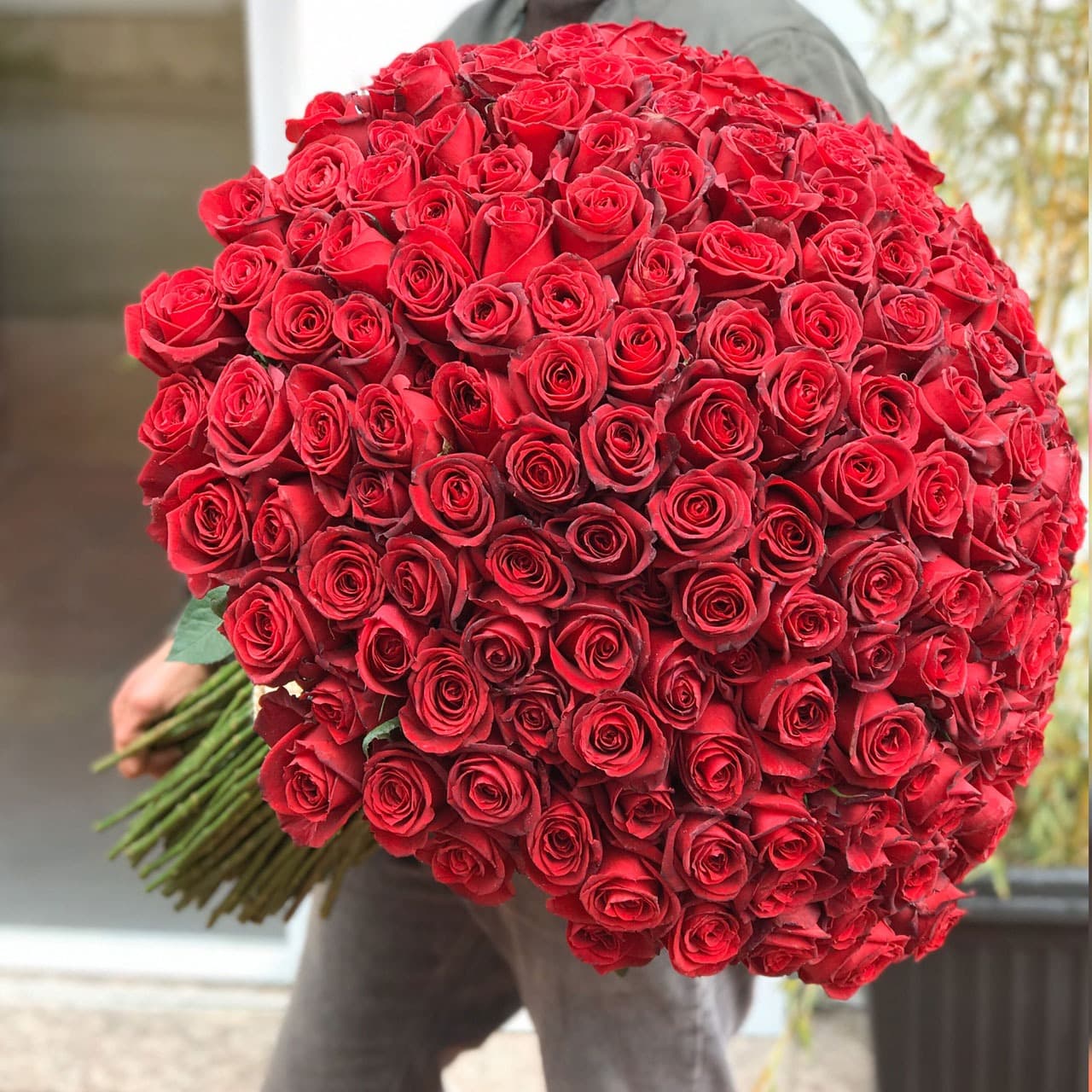 دسته گل رز 200 شاخه ای
