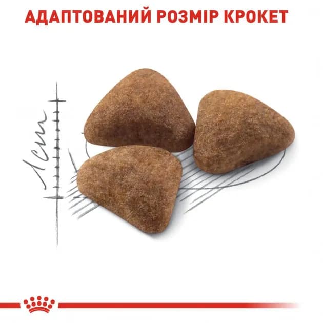 غذای خشک گربه رویال کنین ایندور Royal Canin Indoor وزن 1 کیلوگرم (فله) — تصویر ۴