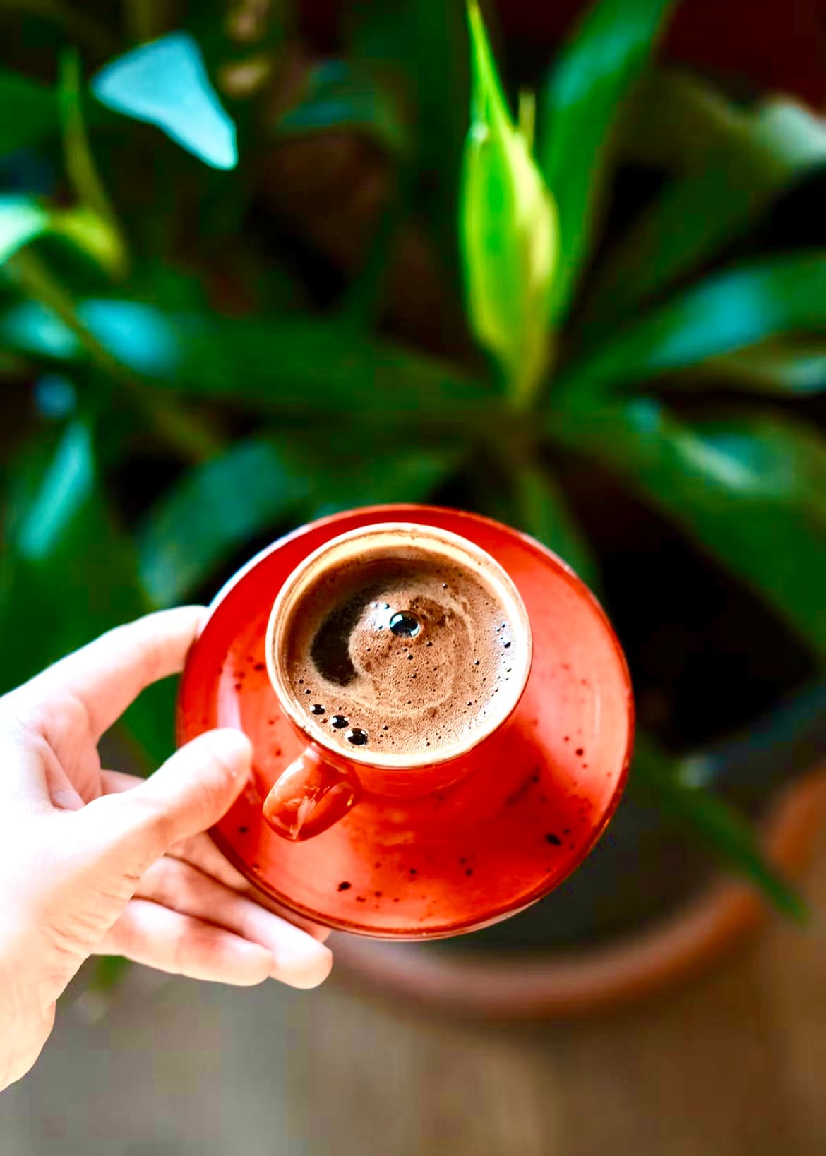 قهوه ویژه پرمیوم | ترکیب ۸۰٪ عربیکا و ۲۰٪ روبوستا | “Premume Coffee “ — تصویر ۴