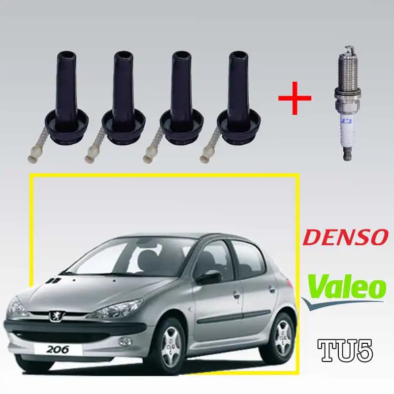 پک تقویتی شتاب و قدرت پژو 206 و 207 موتور TU5