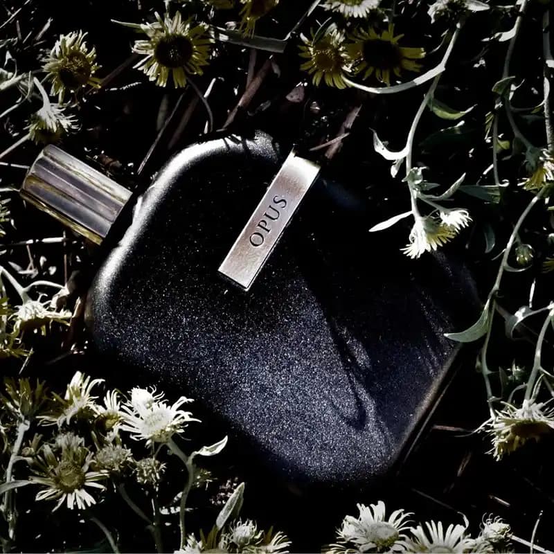 عطر ادکلن آمواج اوپوس هفت | Amouage Opus VII — تصویر ۴