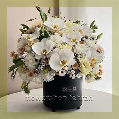 سفارش گلدان ارکیده سفید به‌صورت اینترنتی و دریافت در همان روز