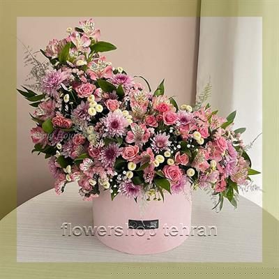 با نگهداری گل ارکیده سفید اولین نگاه هر مهمان را میخکوب کن
