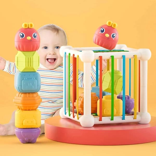مکعب هوش جایگذاری اشکال sobebear