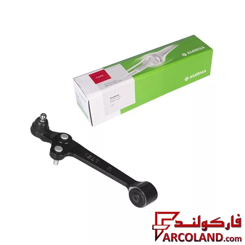طبق راست امیرنیا مناسب کیا ریو