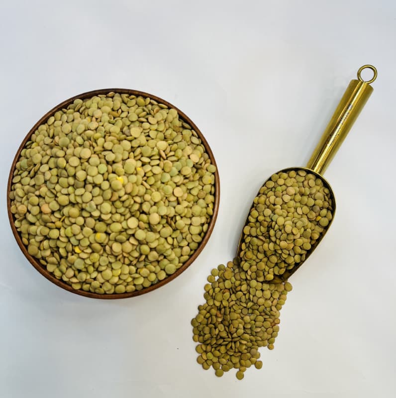 عدس سبز ساسکن کانادا