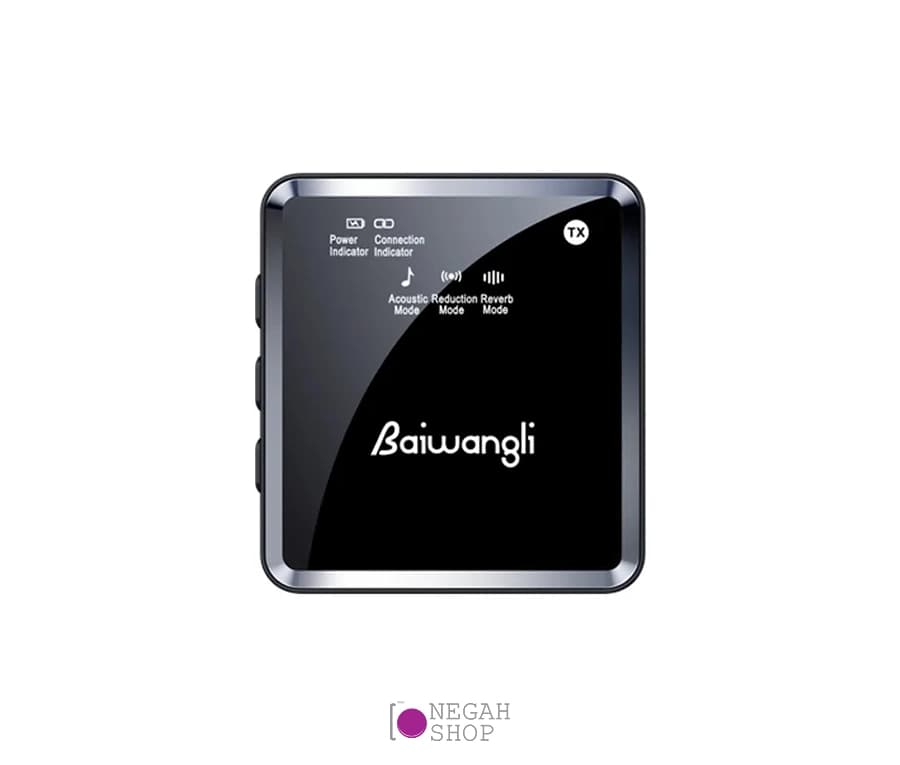 میکروفون بی سیم دو کاناله Baiwangli SX39 Type C — تصویر ۴