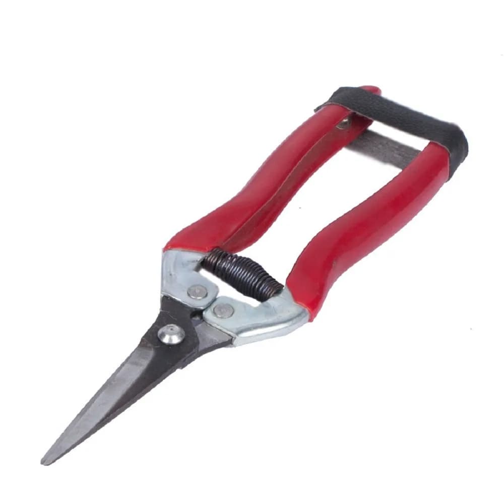 قیچی باغبانی واستر کد MN-031 — تصویر ۲