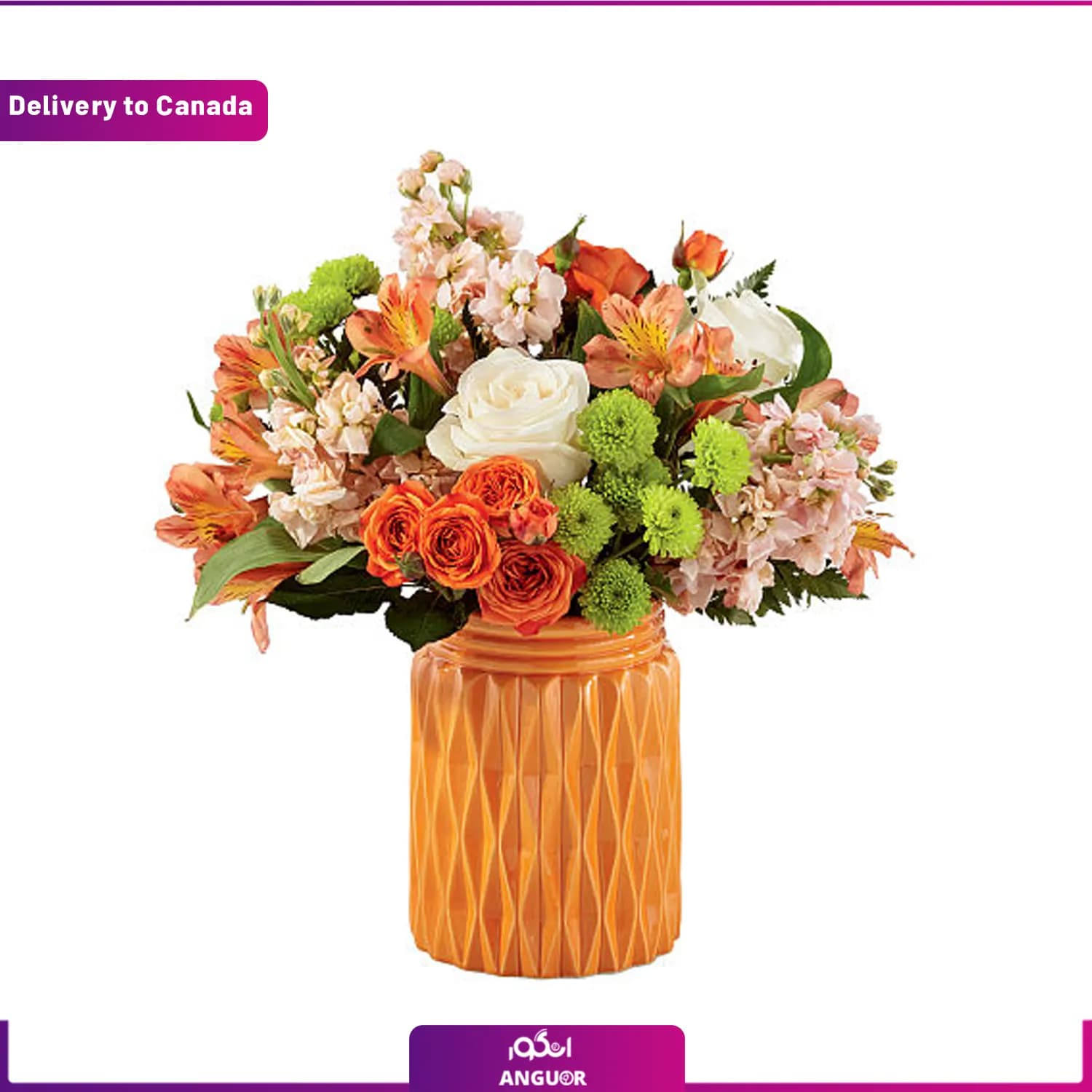 دسته گل مناسب هدیه هالووین (ارسال گل به کانادا)