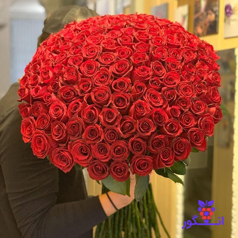 دسته گل بزرگ رز قرمز – ۱۸۰ شاخه