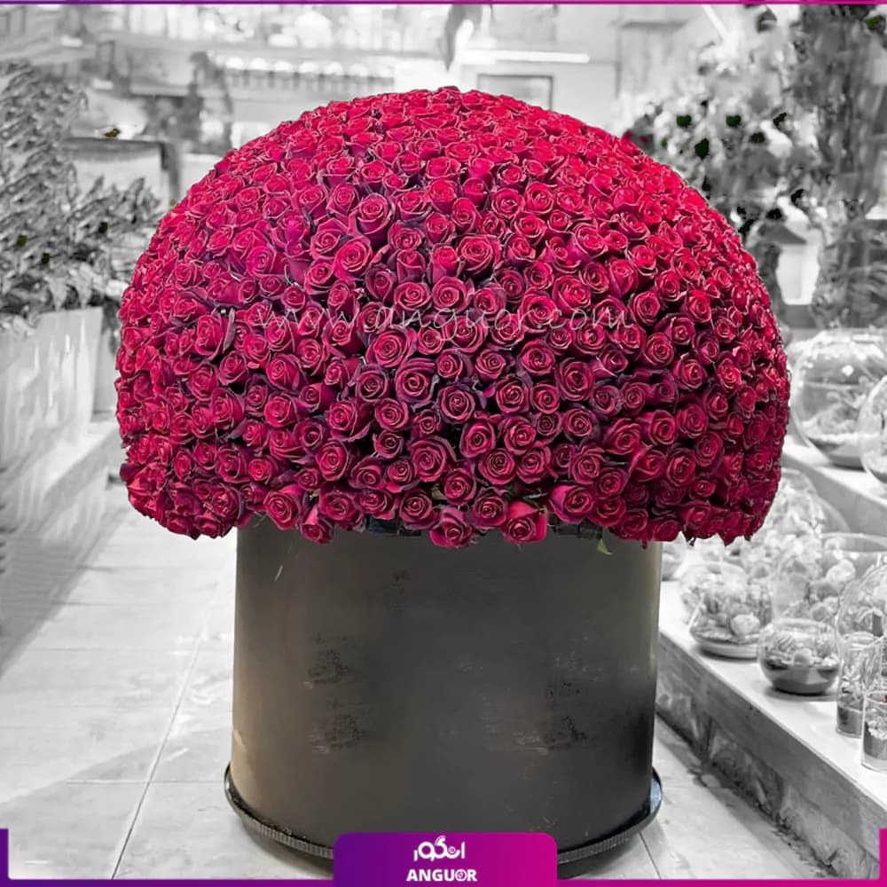 باکس گل رز هزار دلیل برای دوست داشتن (1000 شاخه)