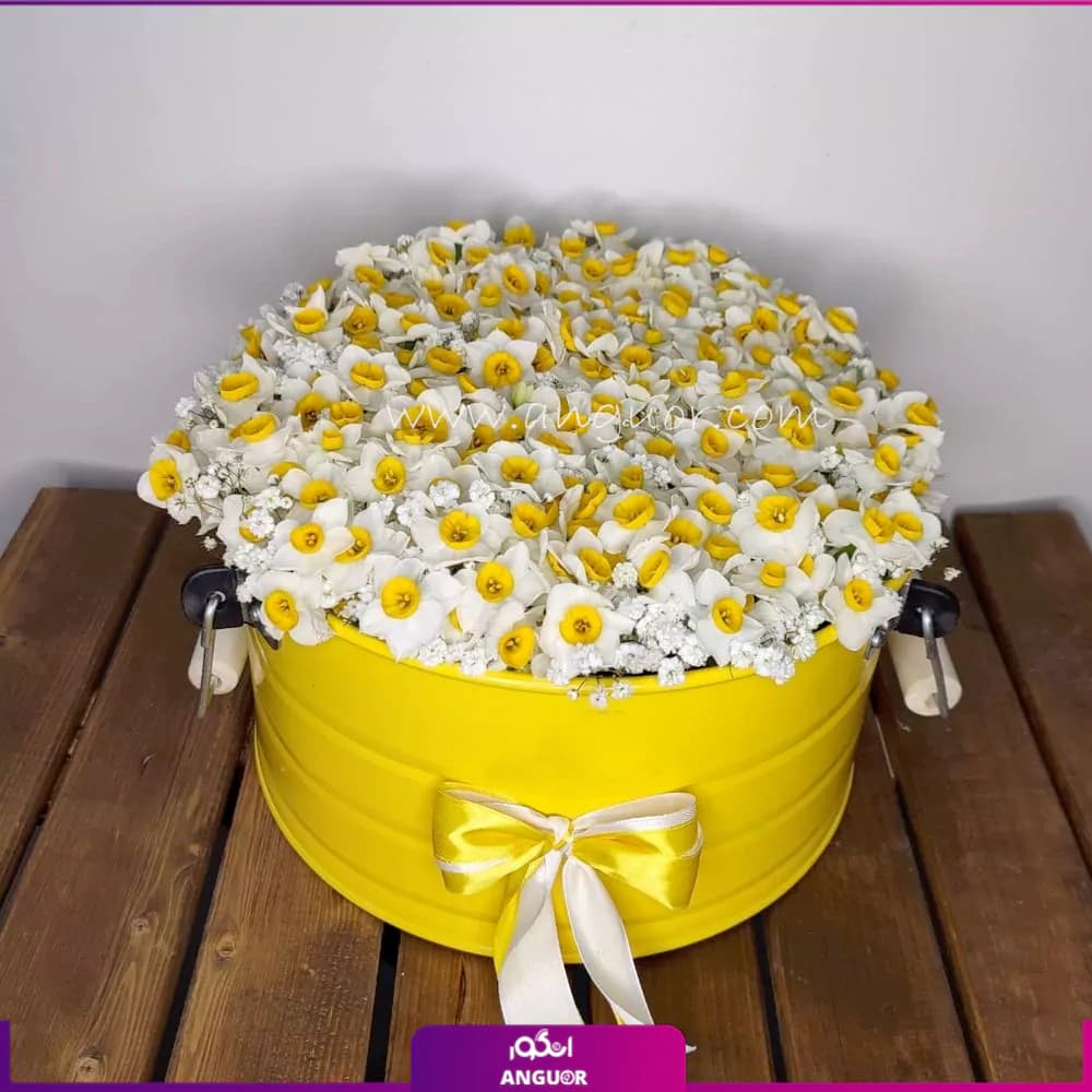 باکس گل نرگس گنجینه عشق