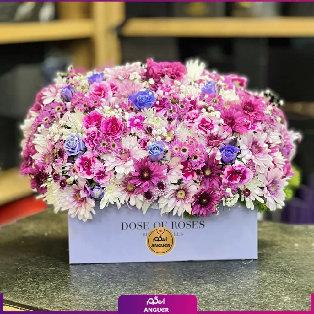 باکس گل آغاز باشکوه