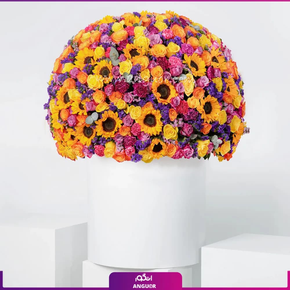 باکس گل آغاز درخشان