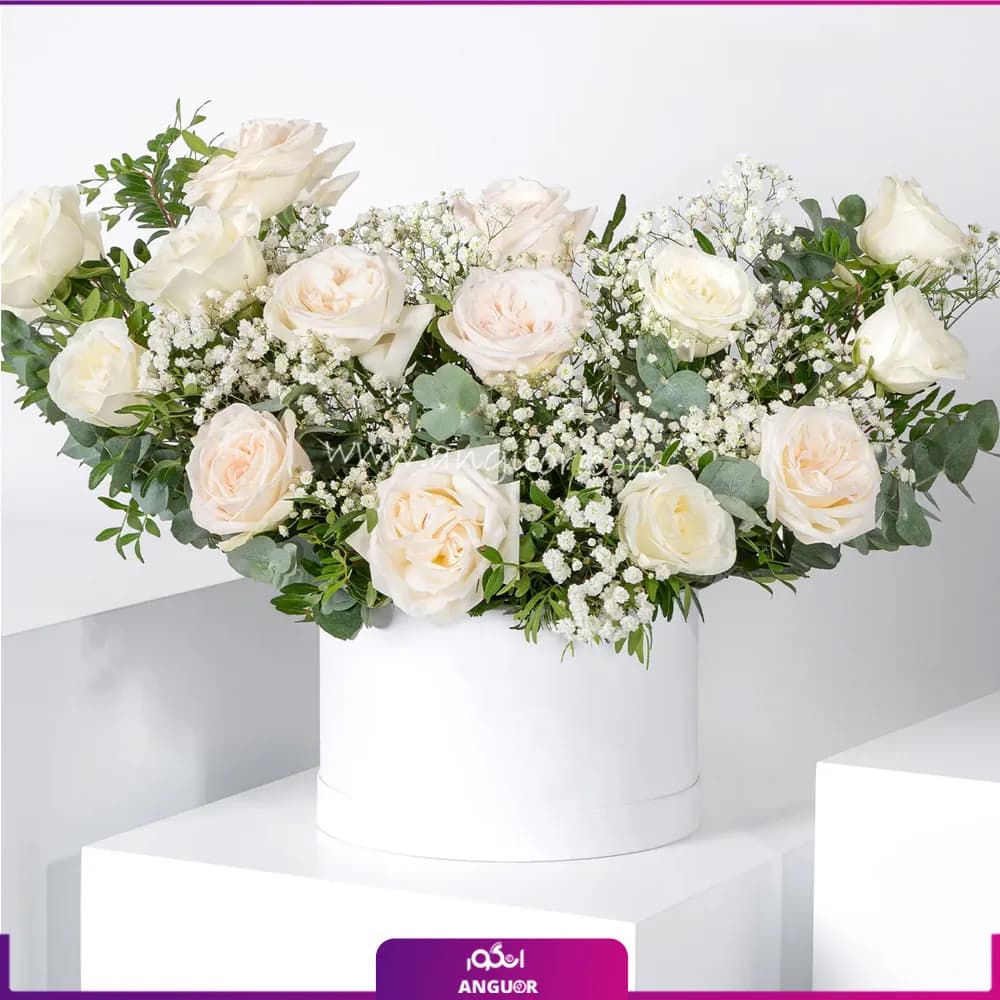 باکس گل رز رویای سپید
