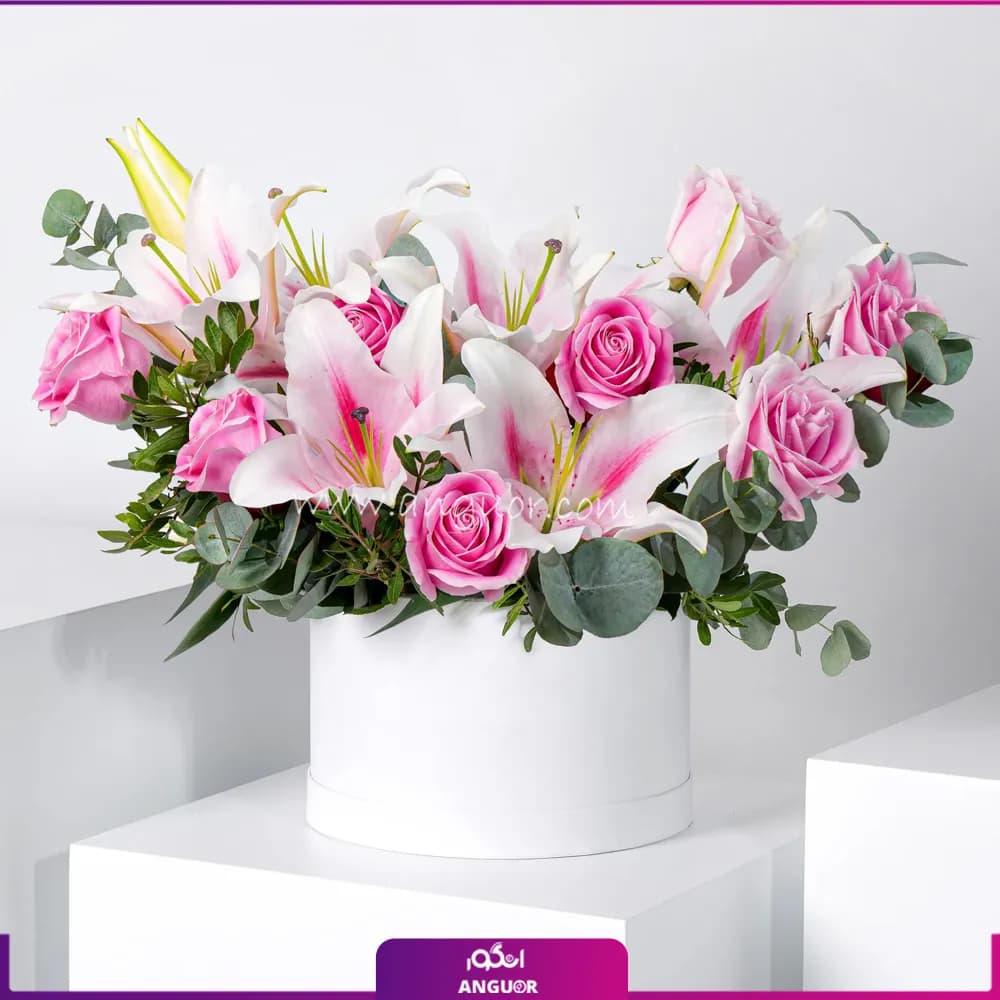 باکس گل خاطره ماندگار