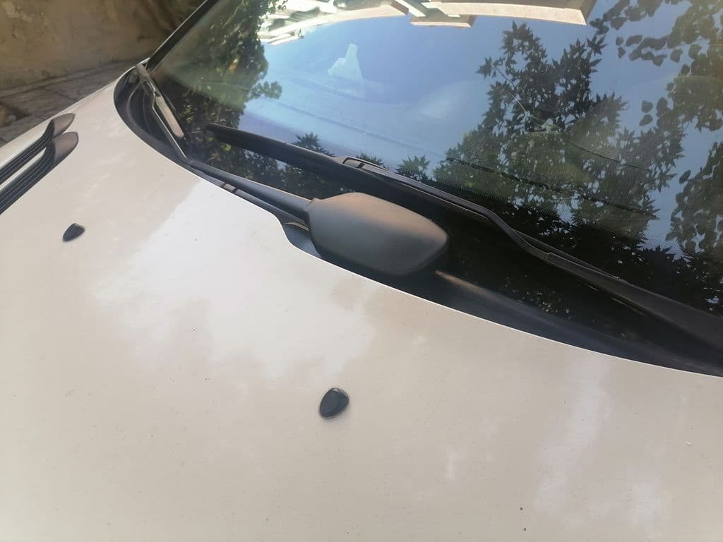 قاب برف پاکن 206 RC — تصویر ۵