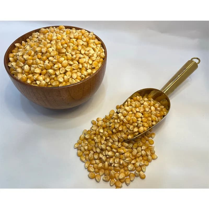 ذرت خارجی مخصوص پاپ کورن — تصویر ۲