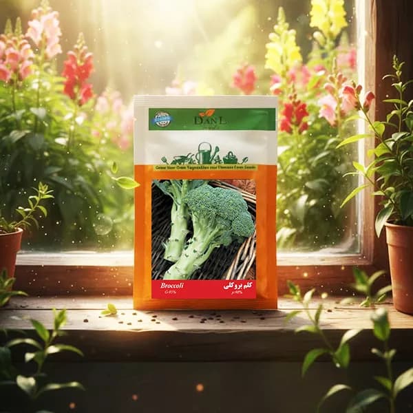 بذر کلم بروکلی خانگی