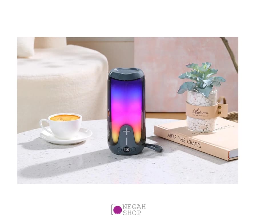 اسپیکر T&G TG651 — تصویر ۴