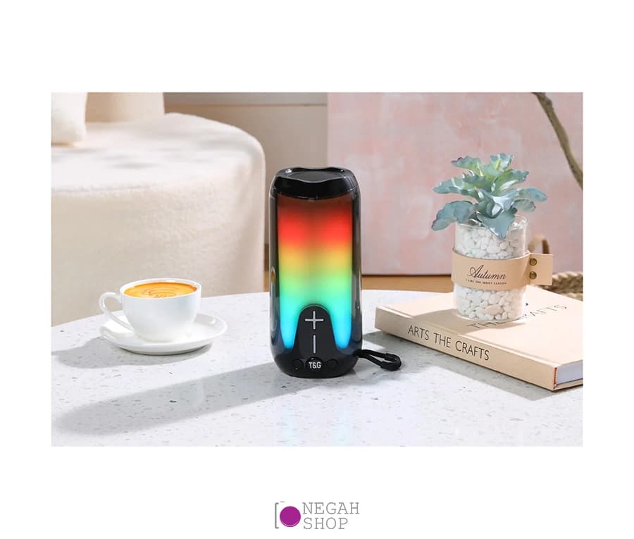 اسپیکر T&G TG651 — تصویر ۵