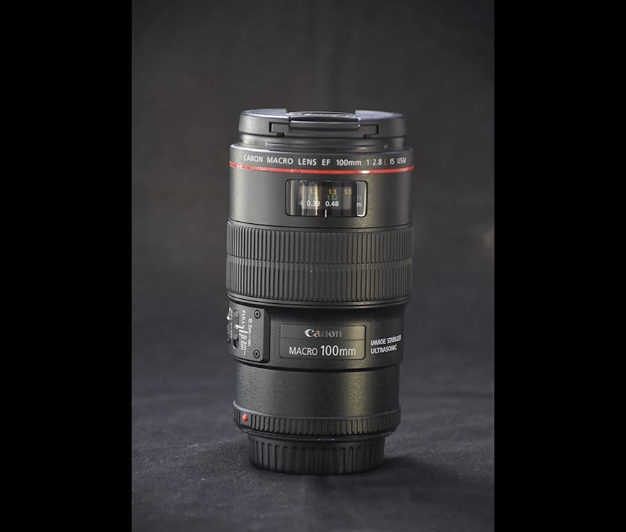 لنز Canon Macro 100mm F2.8L USM دست دوم — تصویر ۲