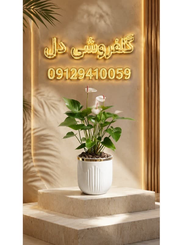 ارسال سریع تاج گل تسلیت به بیمارستان سینا در همان روز