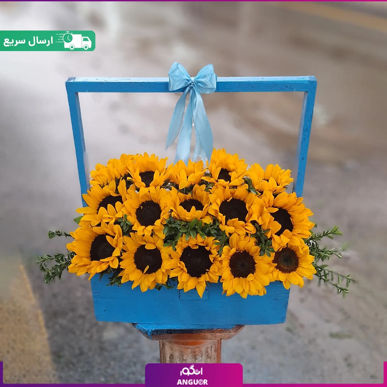 باکس گل عطر و رنگ آفتابگردان