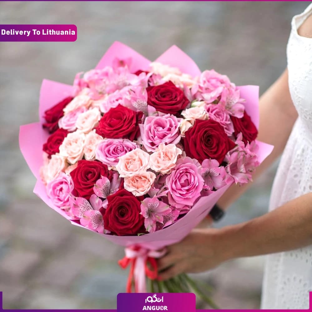 دسته گل رز و آلستر (تحویل در لیتوانی)