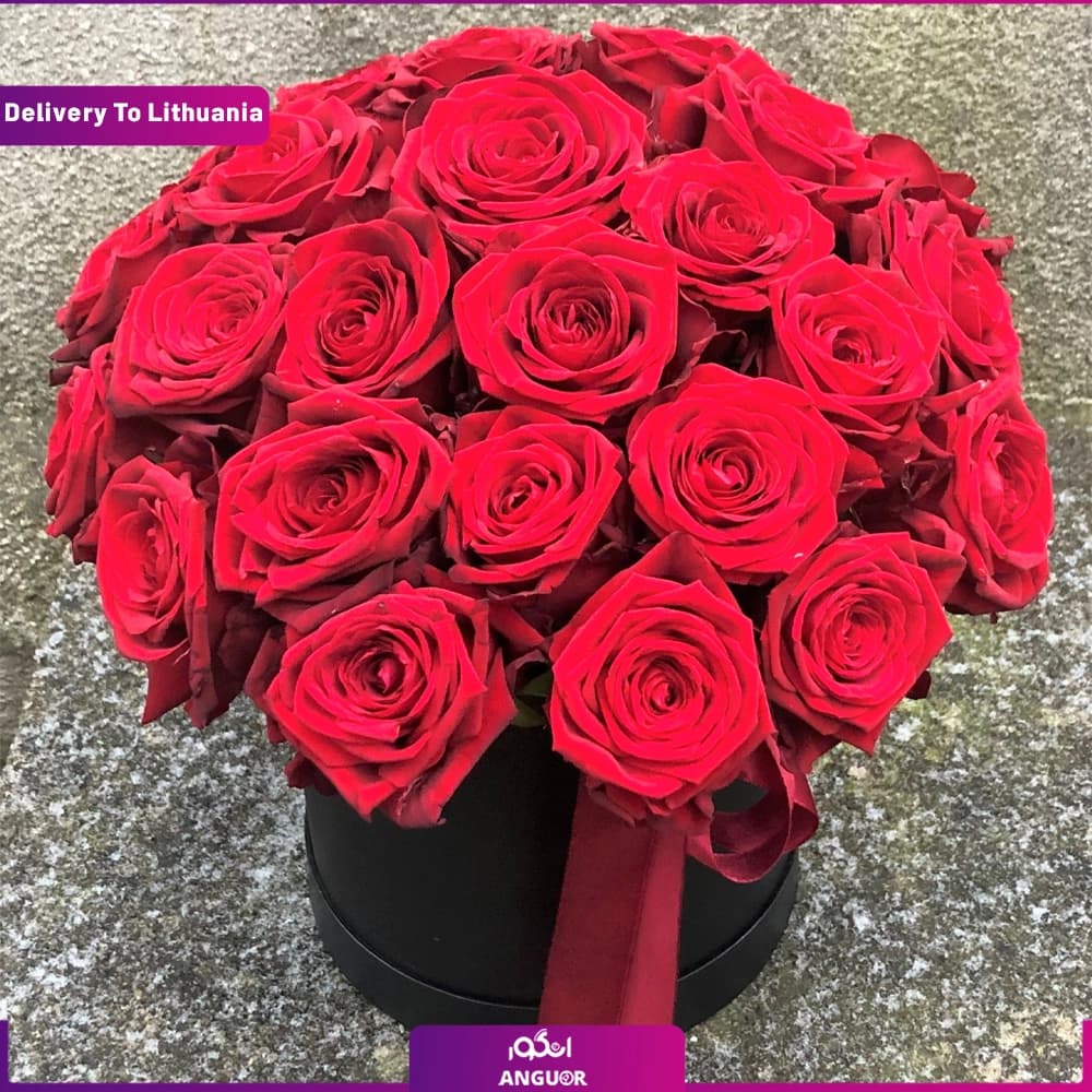 باکس گل 35 رز قرمز (تحویل در لیتوانی)