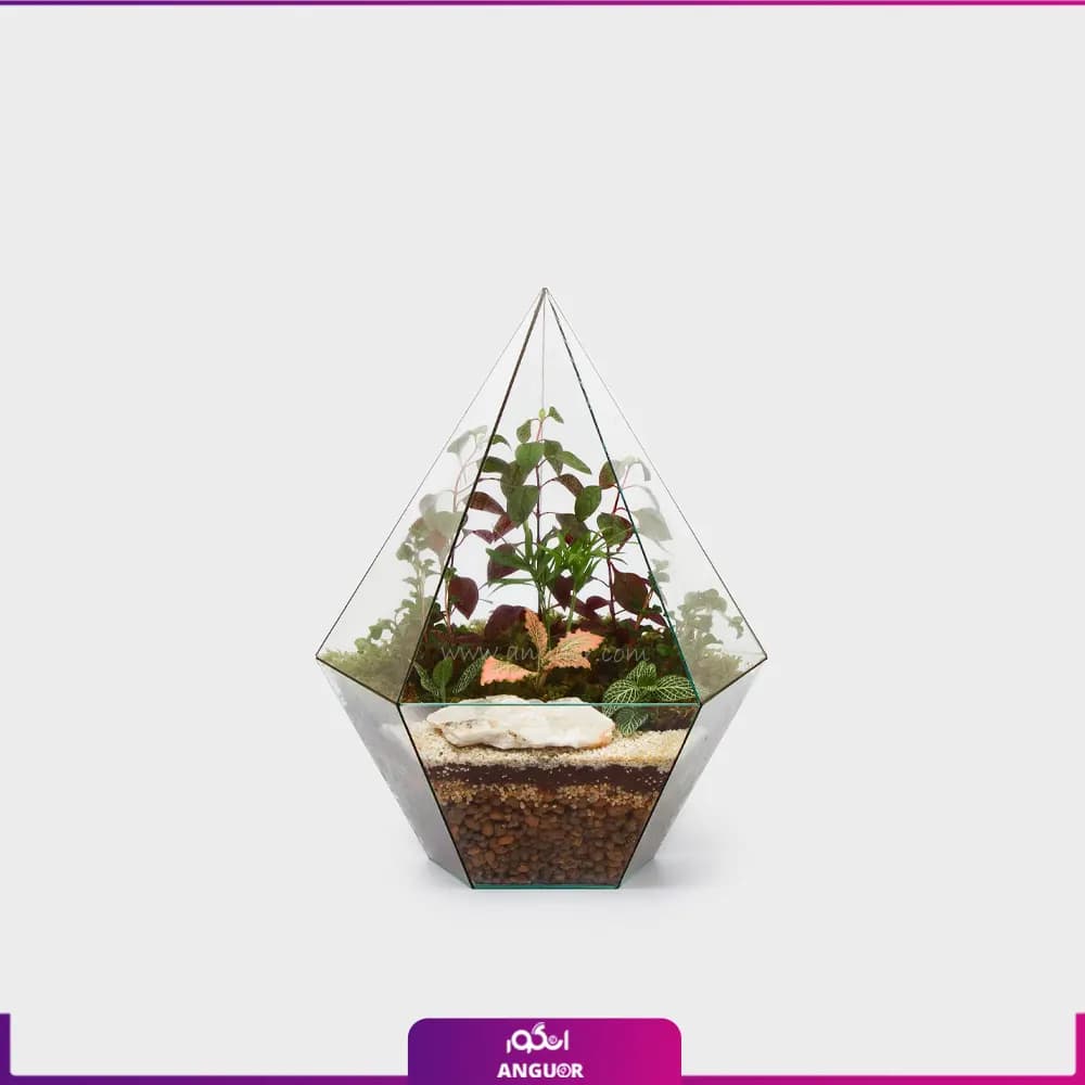 تراریوم الماسی مثلث