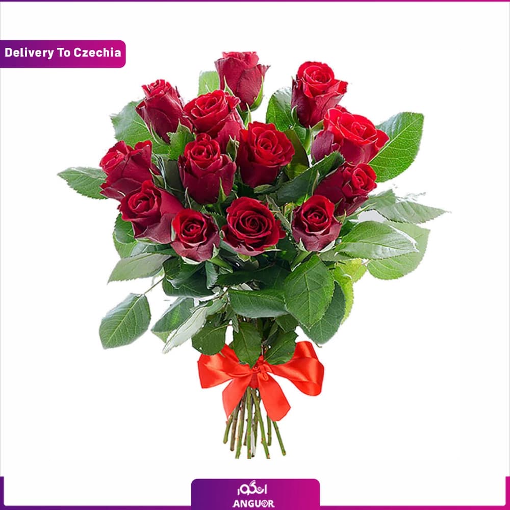 دسته گل 13 شاخه رز قرمز (تحویل گل در جمهوری چک)