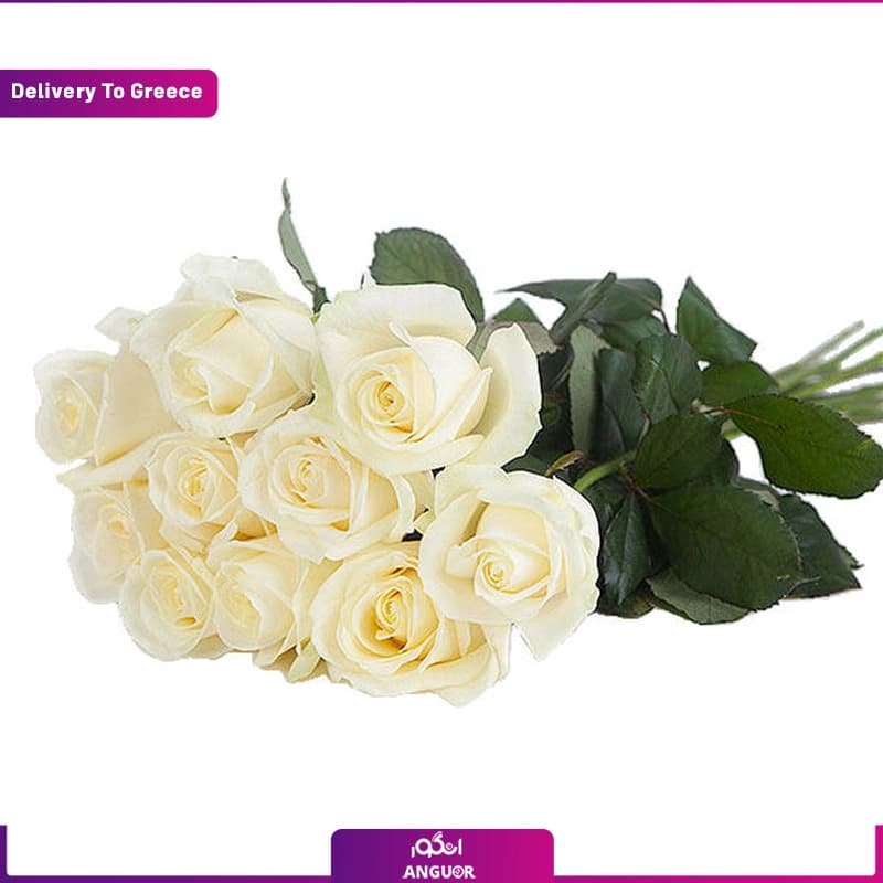 دسته گل 10 شاخه رز سفید (تحویل در یونان)