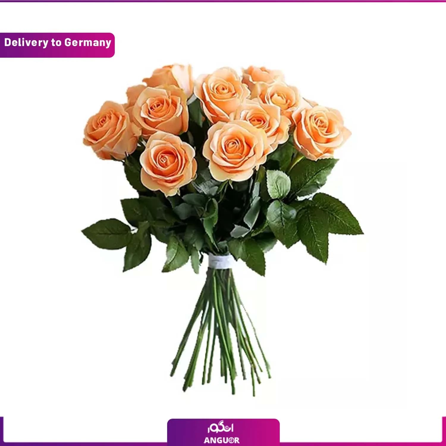 دسته گل رز نارنجی 10 شاخه (ارسال گل به آلمان)