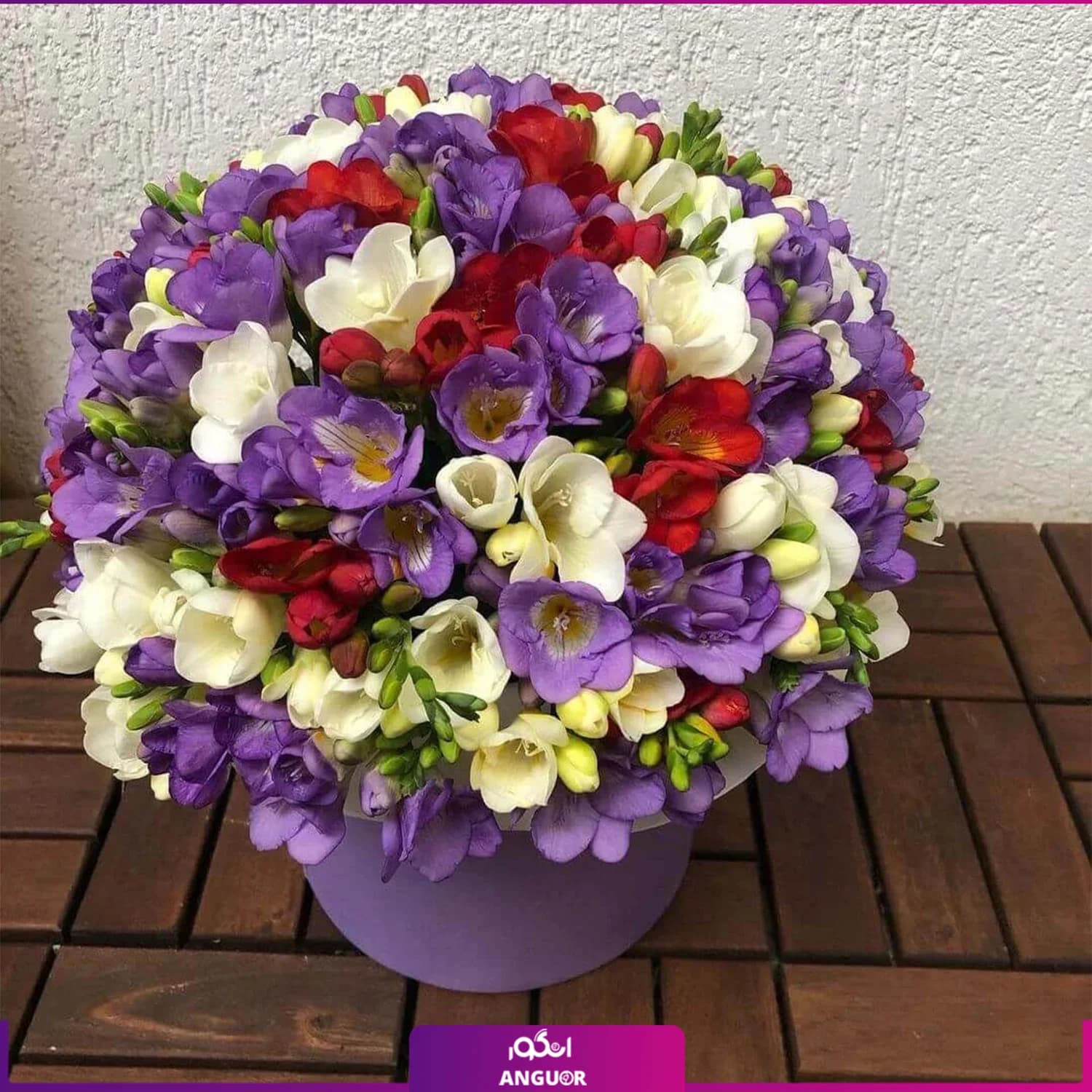 باکس گل فرزیا 70 شاخه