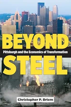 و دانلود نسخه کامل کتاب زبان اصلی Beyond Steel: Pittsburgh and the Economics of Transformation | دانلود کتاب خارجی