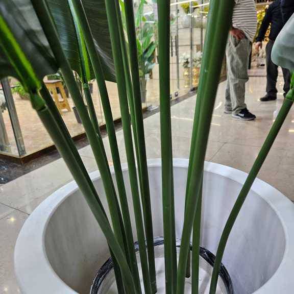درختچه پرنده بهشتی مصنوعی 15برگ 180سانت — تصویر ۲