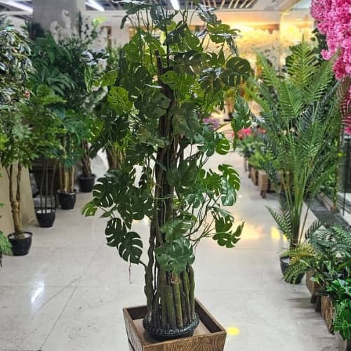 درختچه انجیری مصنوعی 180 سانت