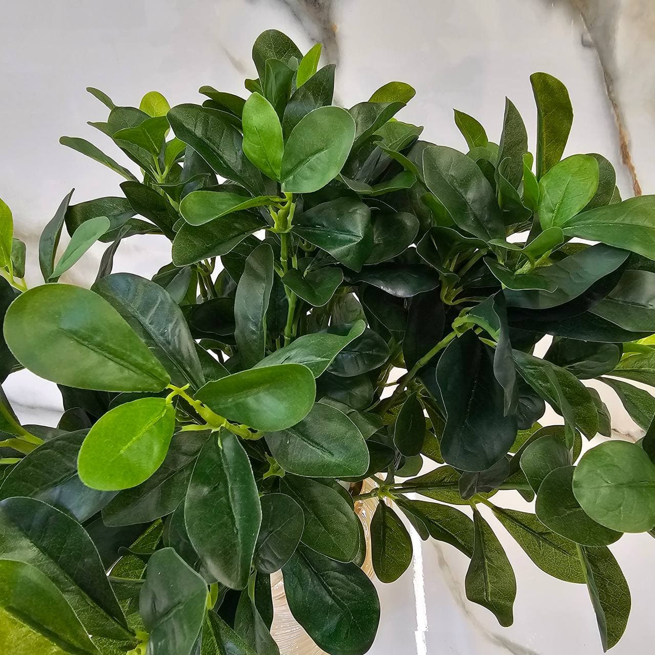 بوته گل شفلرا بزرگ مصنوعی — تصویر ۶