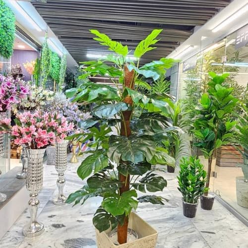 درختچه انجیری کنفی مصنوعی 160 سانت 50 برگ